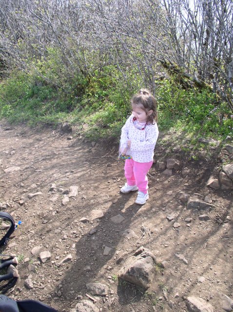 4.30.06 Hamilton Mountain 073 